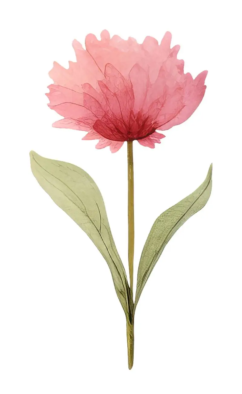Watercolour Isolated Illustration of Large Pink Flower with Green Leaves on Transparent Background