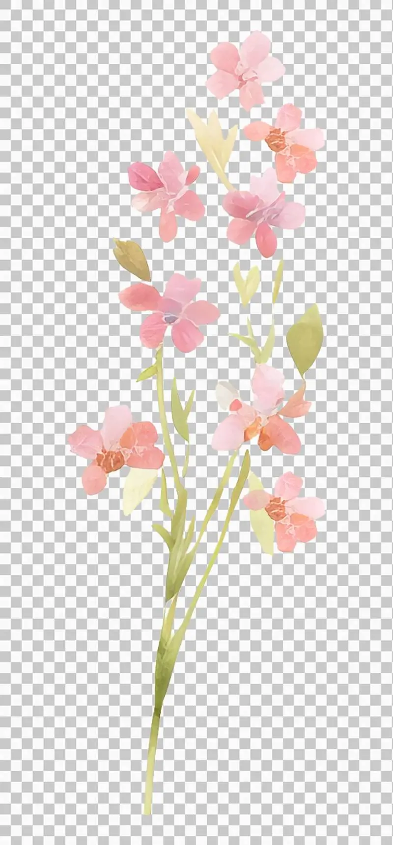 Isolated Watercolour Illustration of a Branch with Pink Flowers and Green Leaves on a Transparent Background