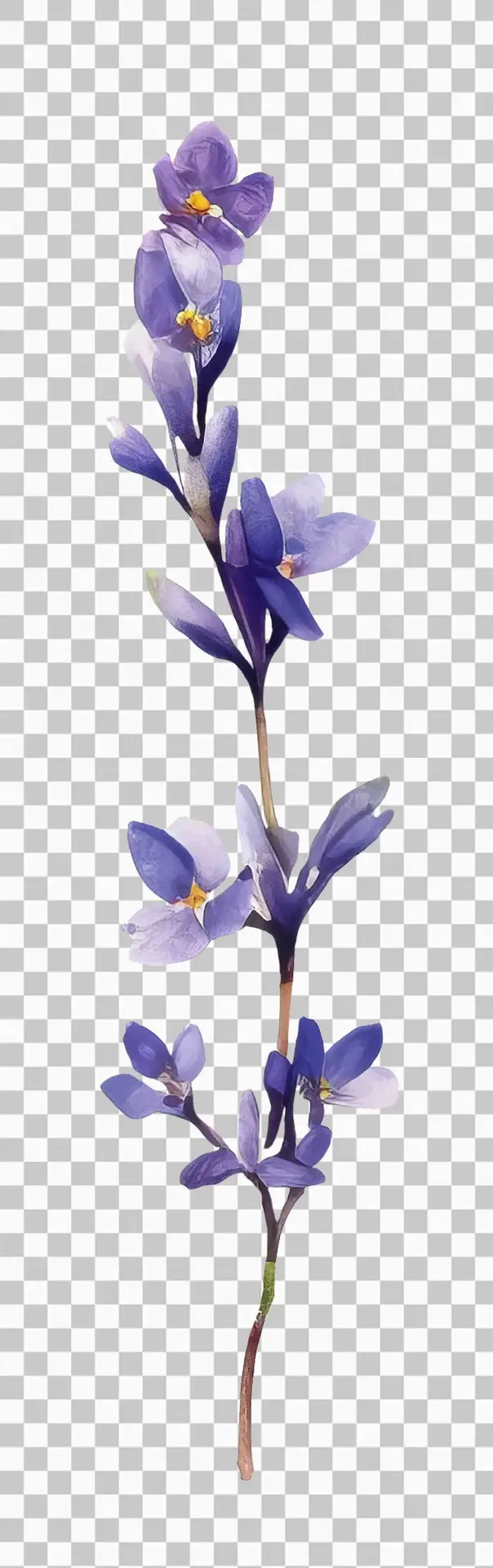 Isolated Watercolour Illustration of an Elongated Branch with Purple Flowers on a Transparent Background