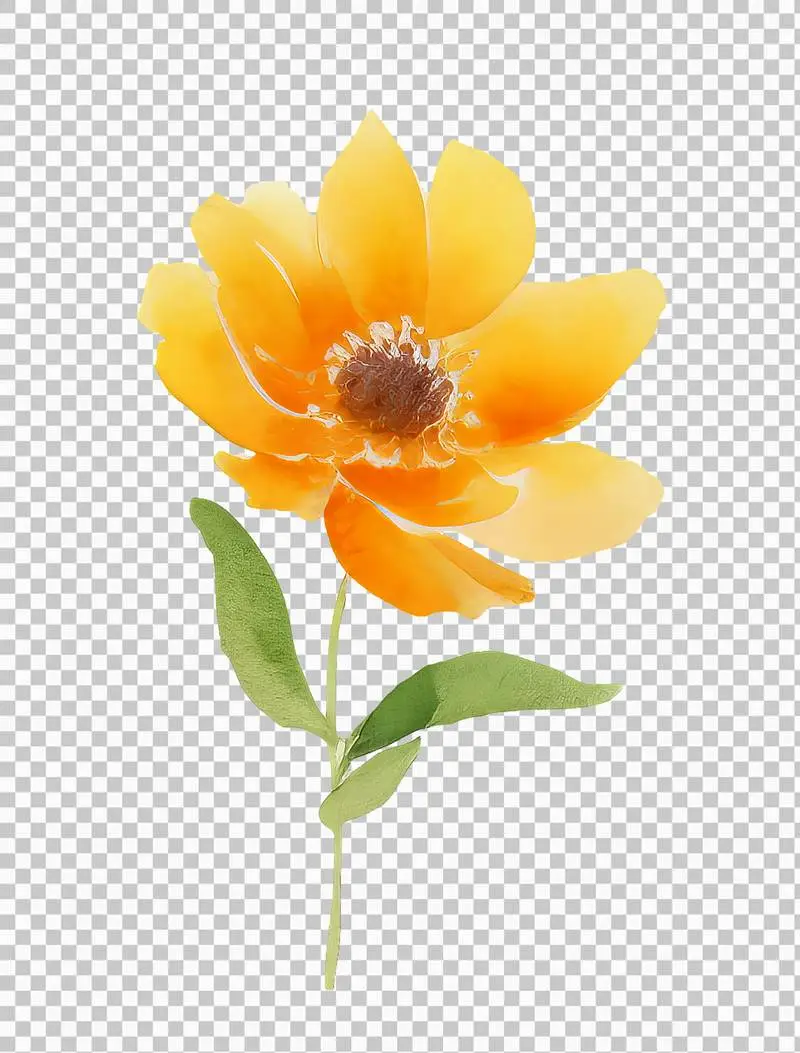 Isolated Watercolour Illustration of a Large Orange Flower with a Green Stem on a Transparent Background
