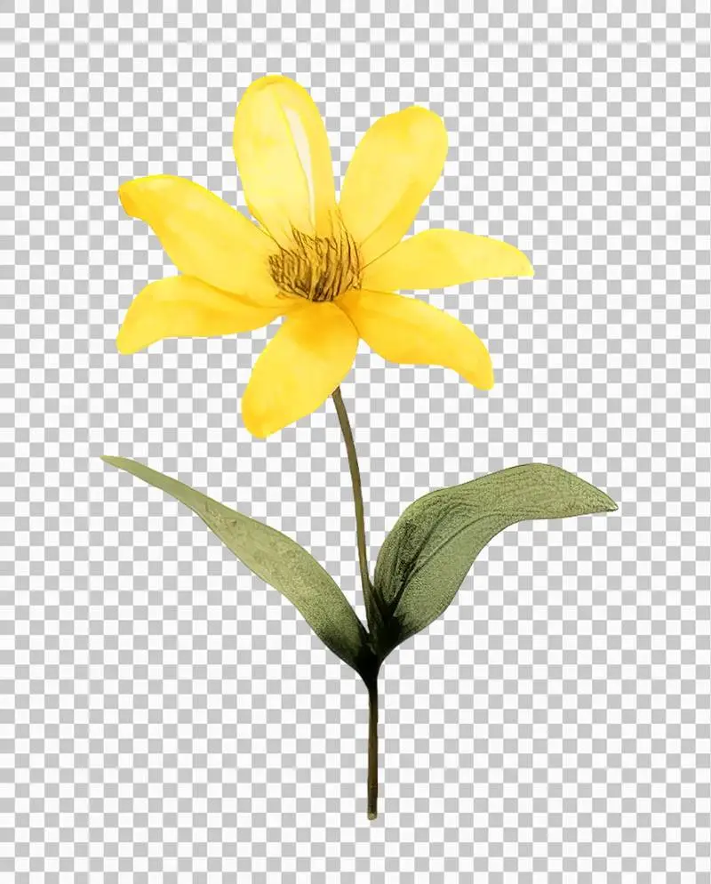 Isolated Watercolour Illustration of a Large Yellow Flower with Green Leaves on a Transparent Background