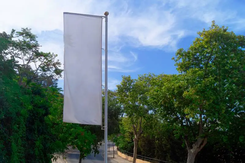 Vertical White Banner on Background of Plants and Sky
