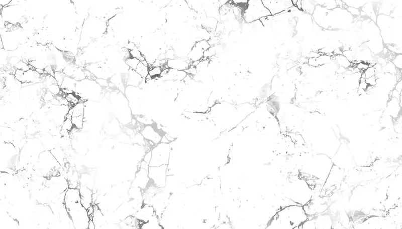 Marble Texture Background Vector