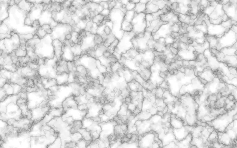 Black and White Marble Texture Vector