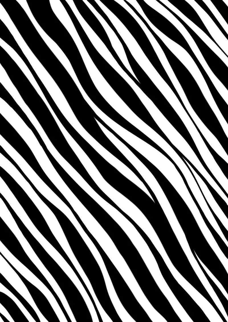 Zebra Print Texture Background Vector