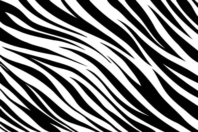 Zebra Print Background Photo