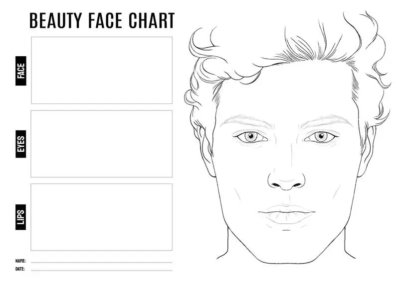 Beauty Face Chart with Man Face Drawing Vector
