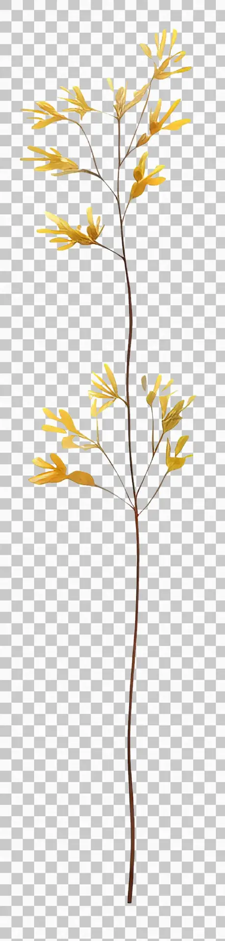 Watercolour Illustration of Yellow Flowers with Green Stems Isolated on a Transparent Background PNG