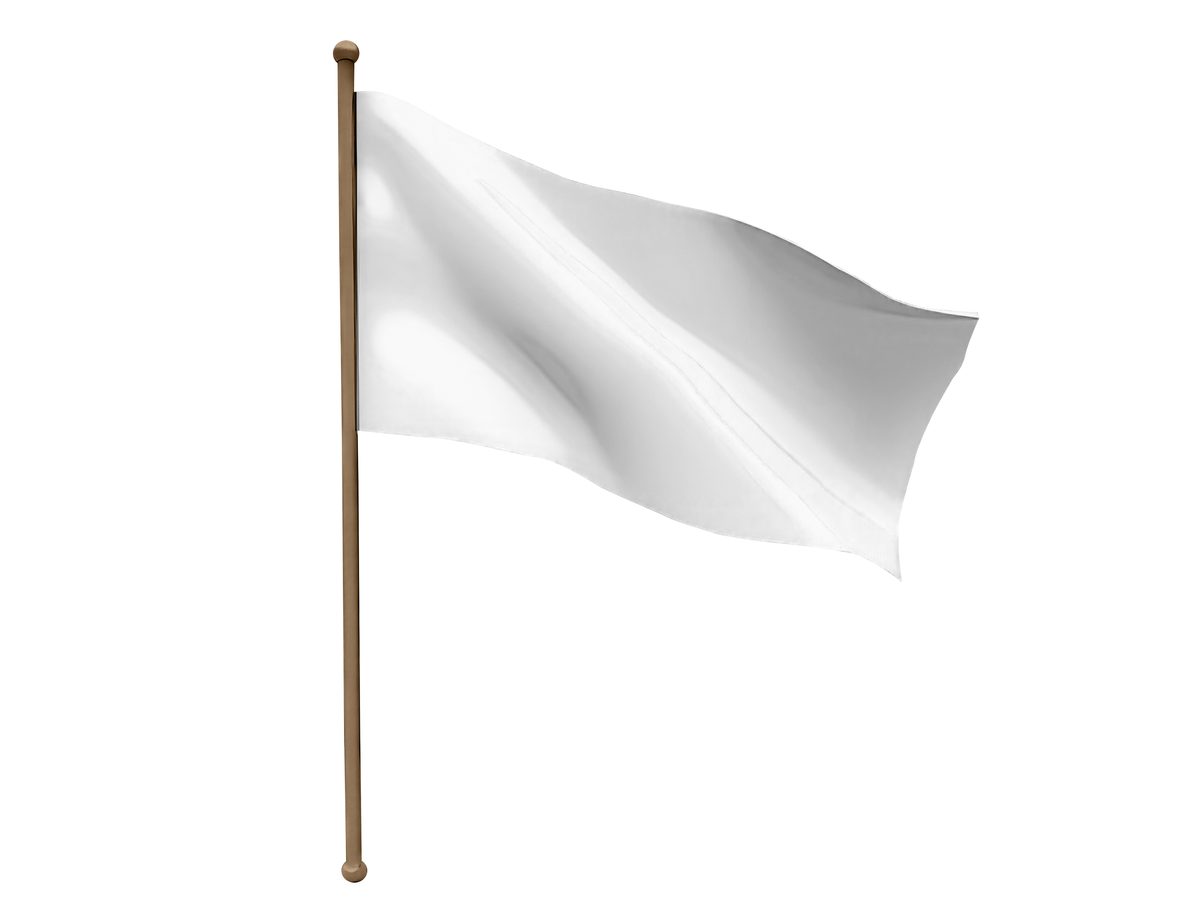 3D Blank Flag Isolated on White Background