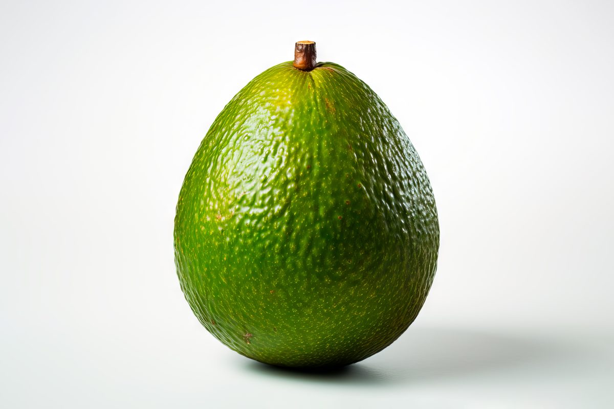 Fresh green avocado standing isolated on white background