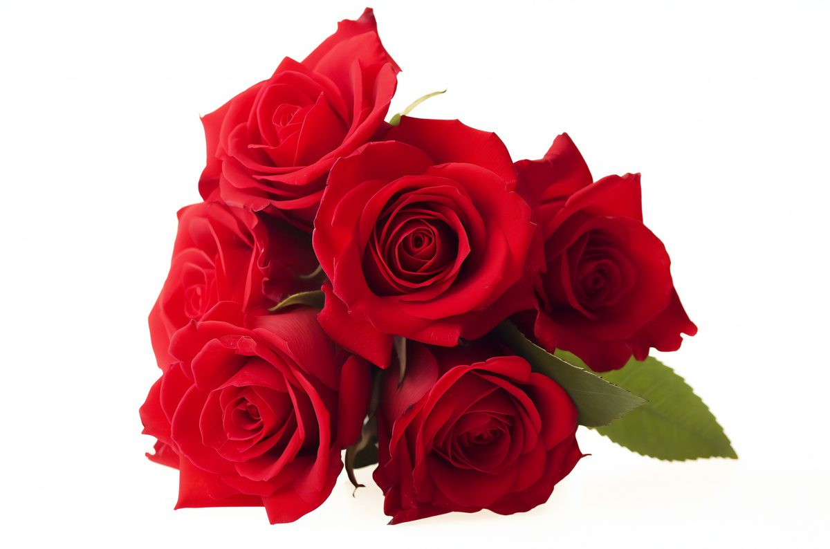 Red roses bouquet isolated on a white background