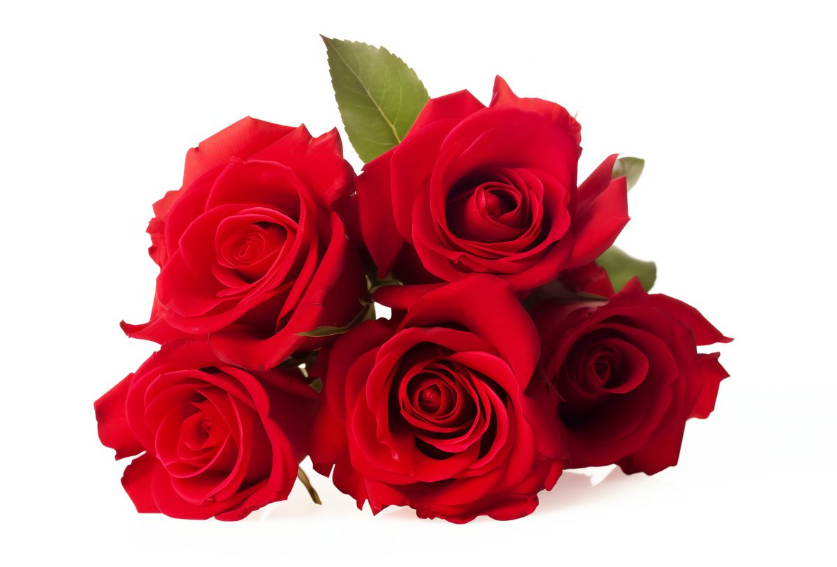 Red roses bouquet isolated on white background