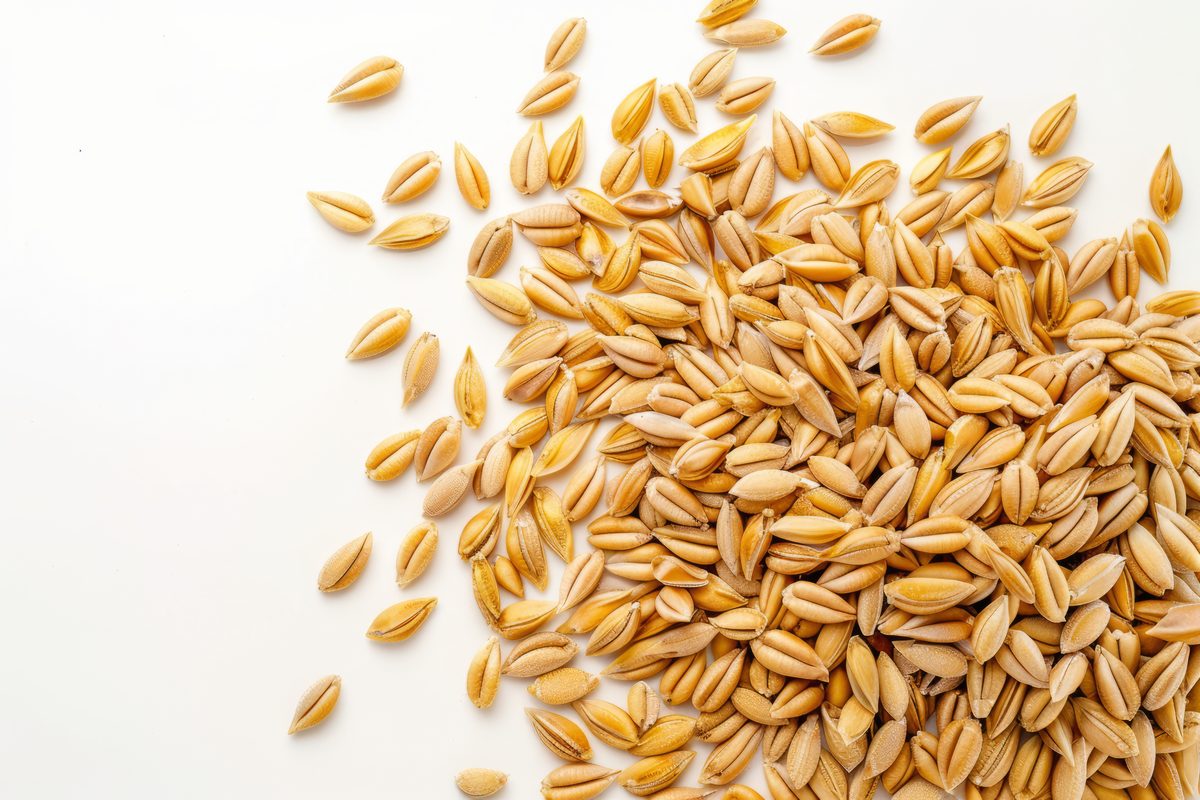 Photo of Durum on White Background